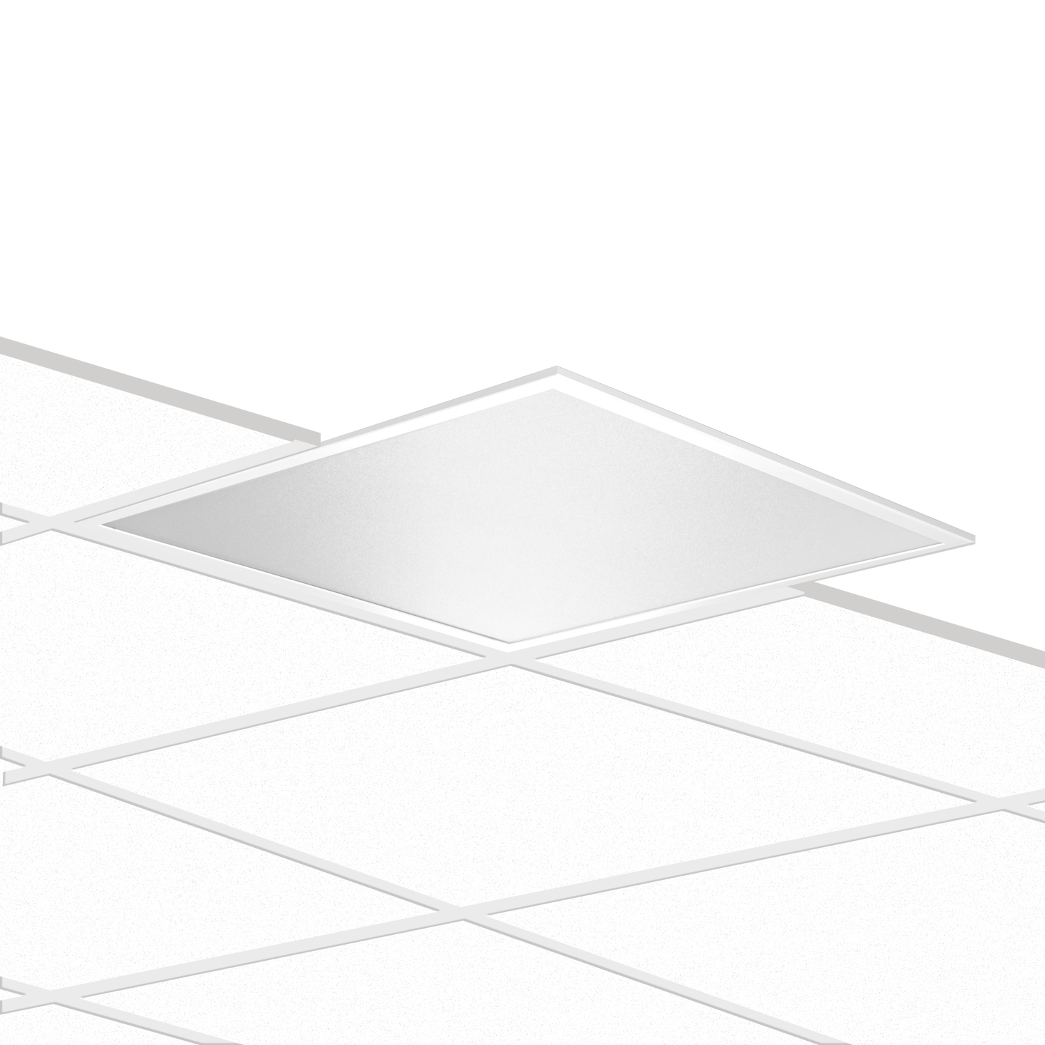 PLATO 600 MP 28.5 930 UGR<19