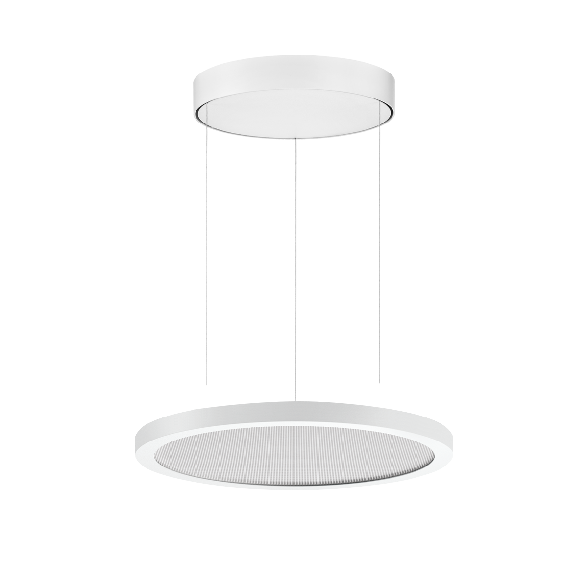 FL R+ 333 PL 8/23 S/B 830 WH9016 DALI MP