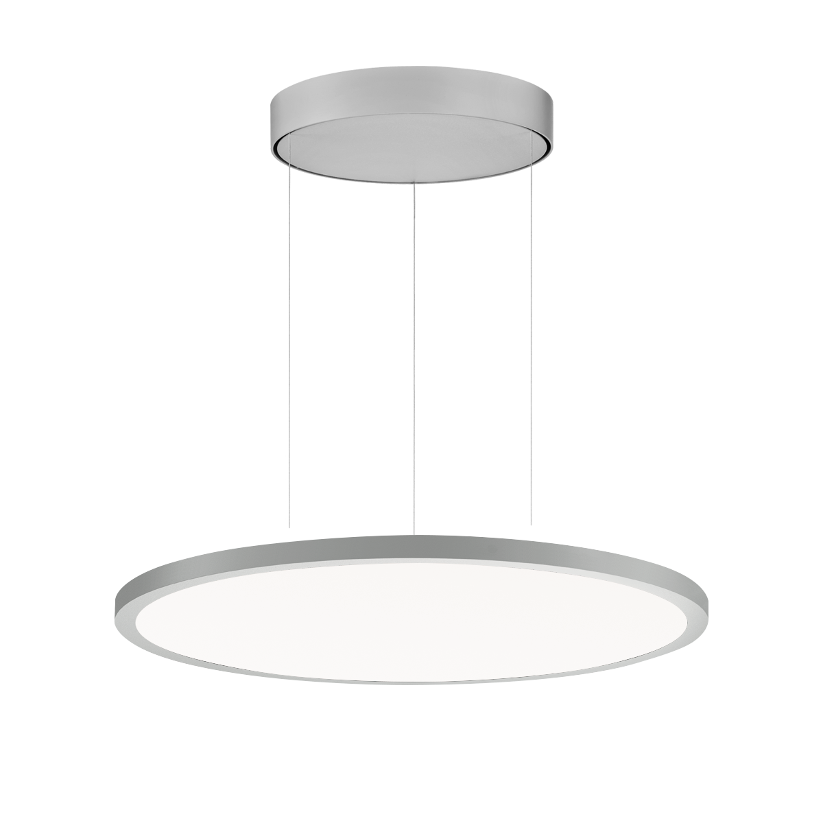 FL R+ 555 PL 19 S/B 830 GR9006 DALI OP