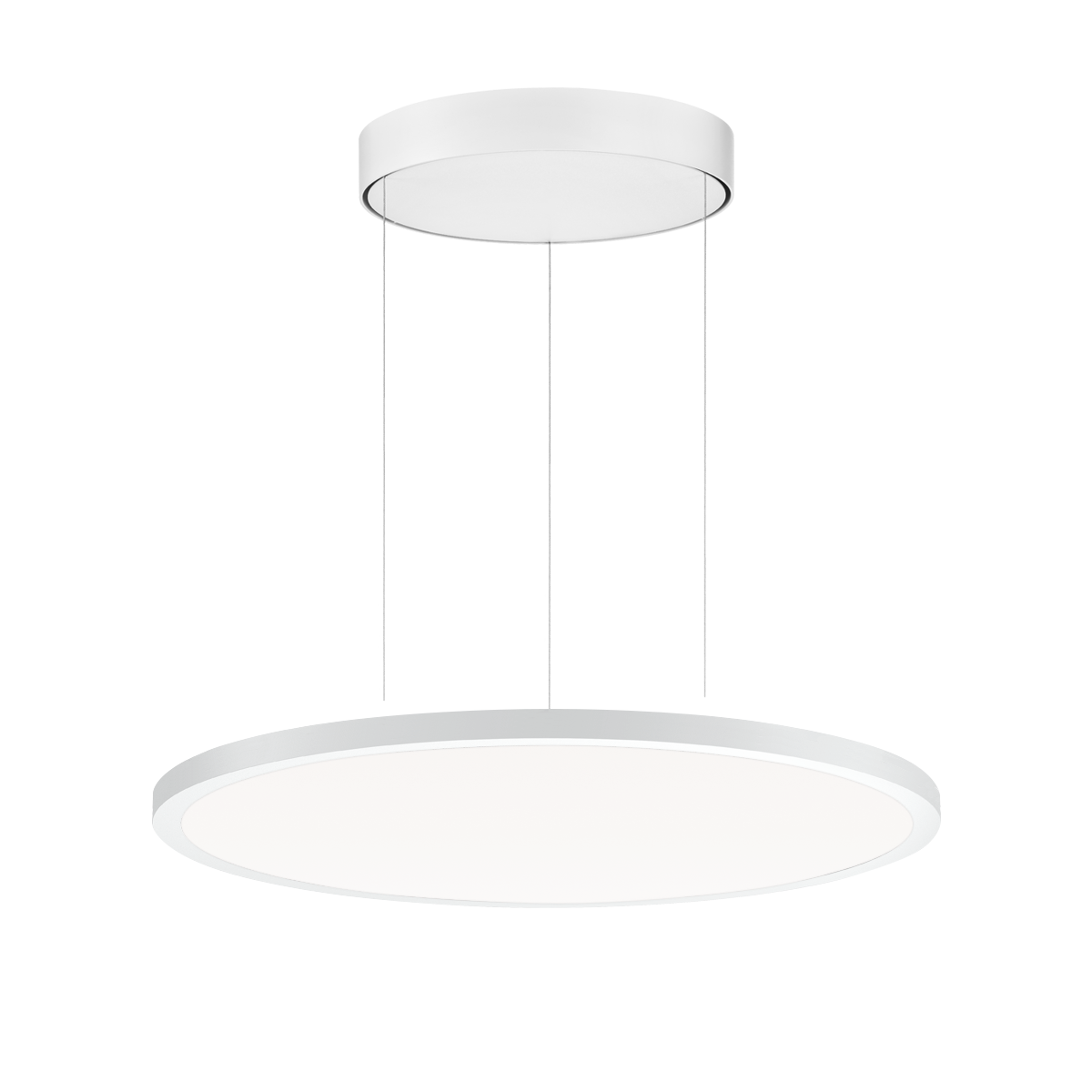 FL R+ 555 PL 19 S/B 830 WH9016 DALI OP